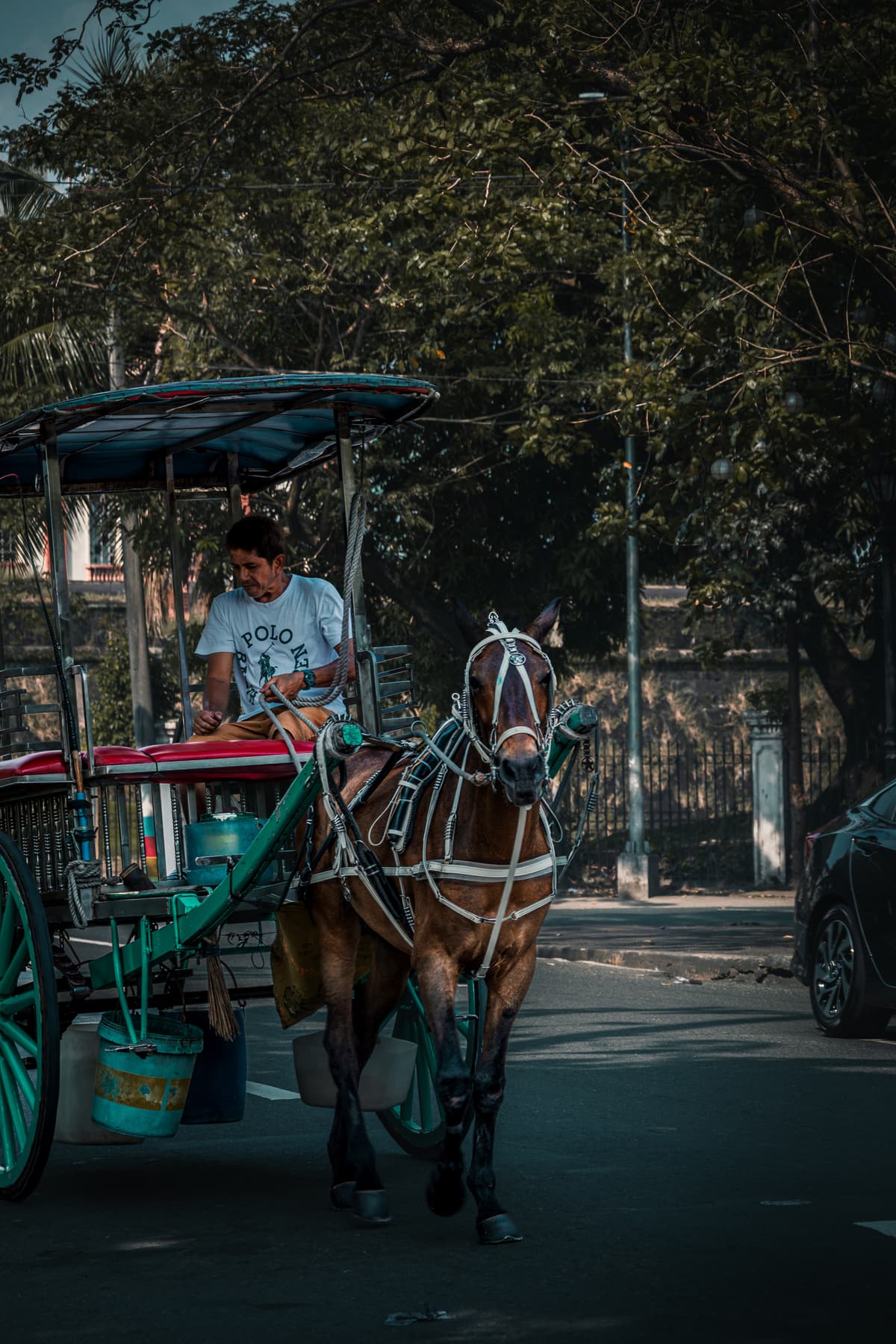 Street Photography 43
